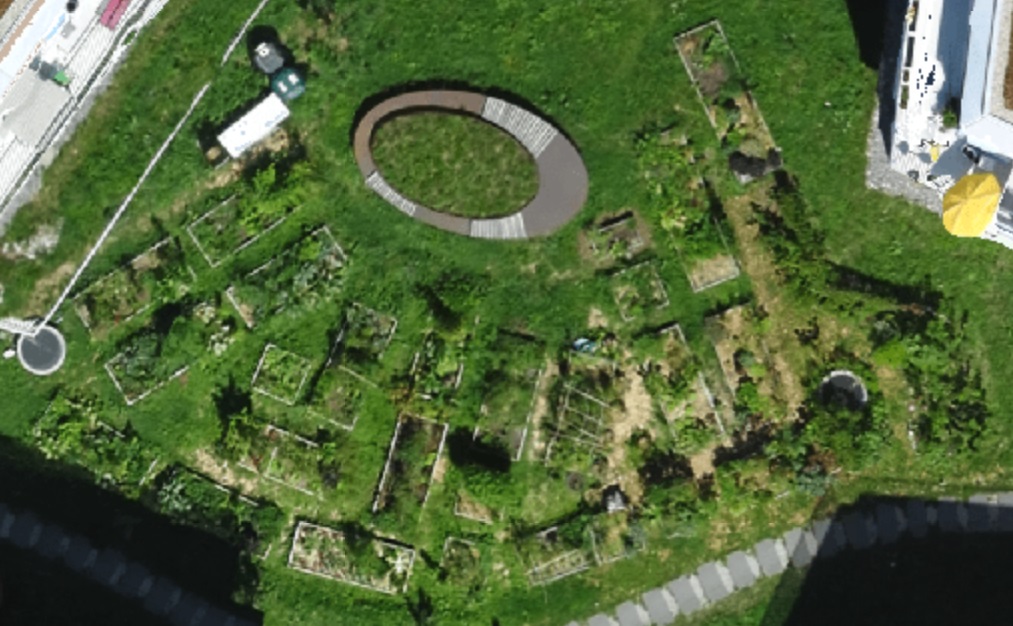 Potager Merle planteur