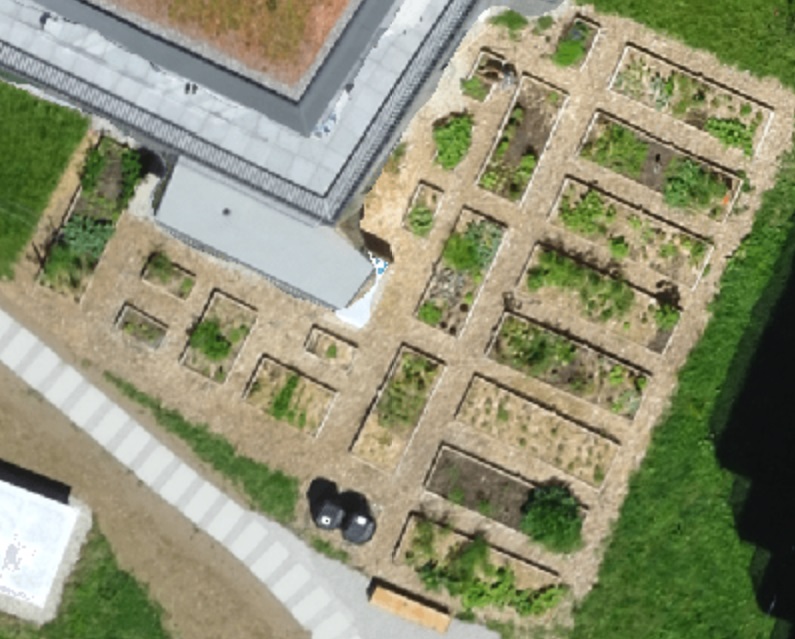 Potager Brouette Rieuse