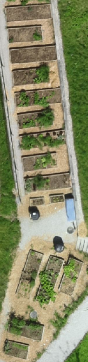 Potager Rateau heureux